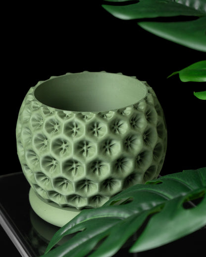 Vaso decorativo stellato