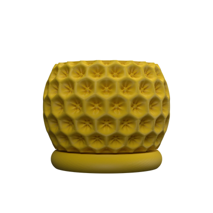 Vaso decorativo stellato