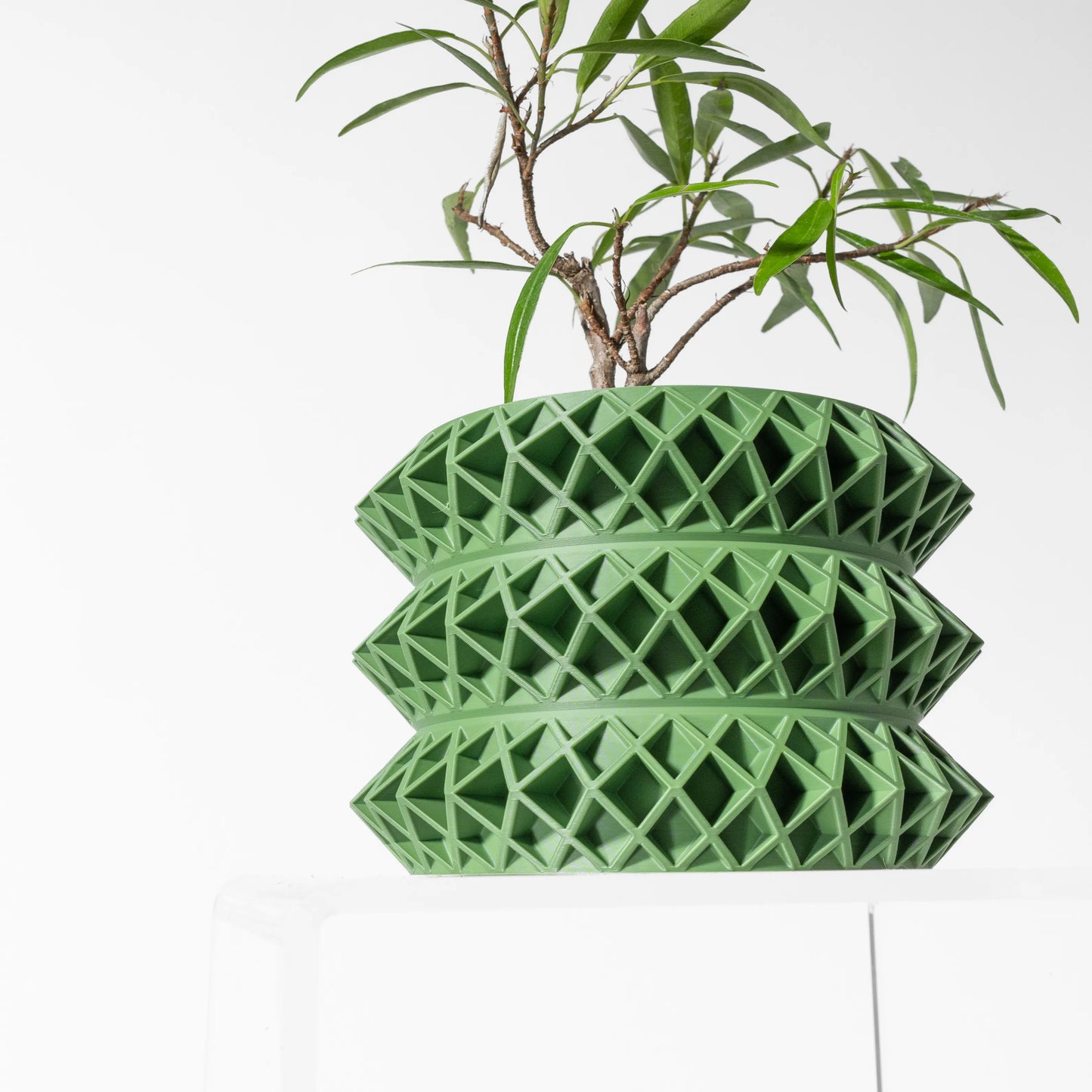 Vaso decorativo Tomo