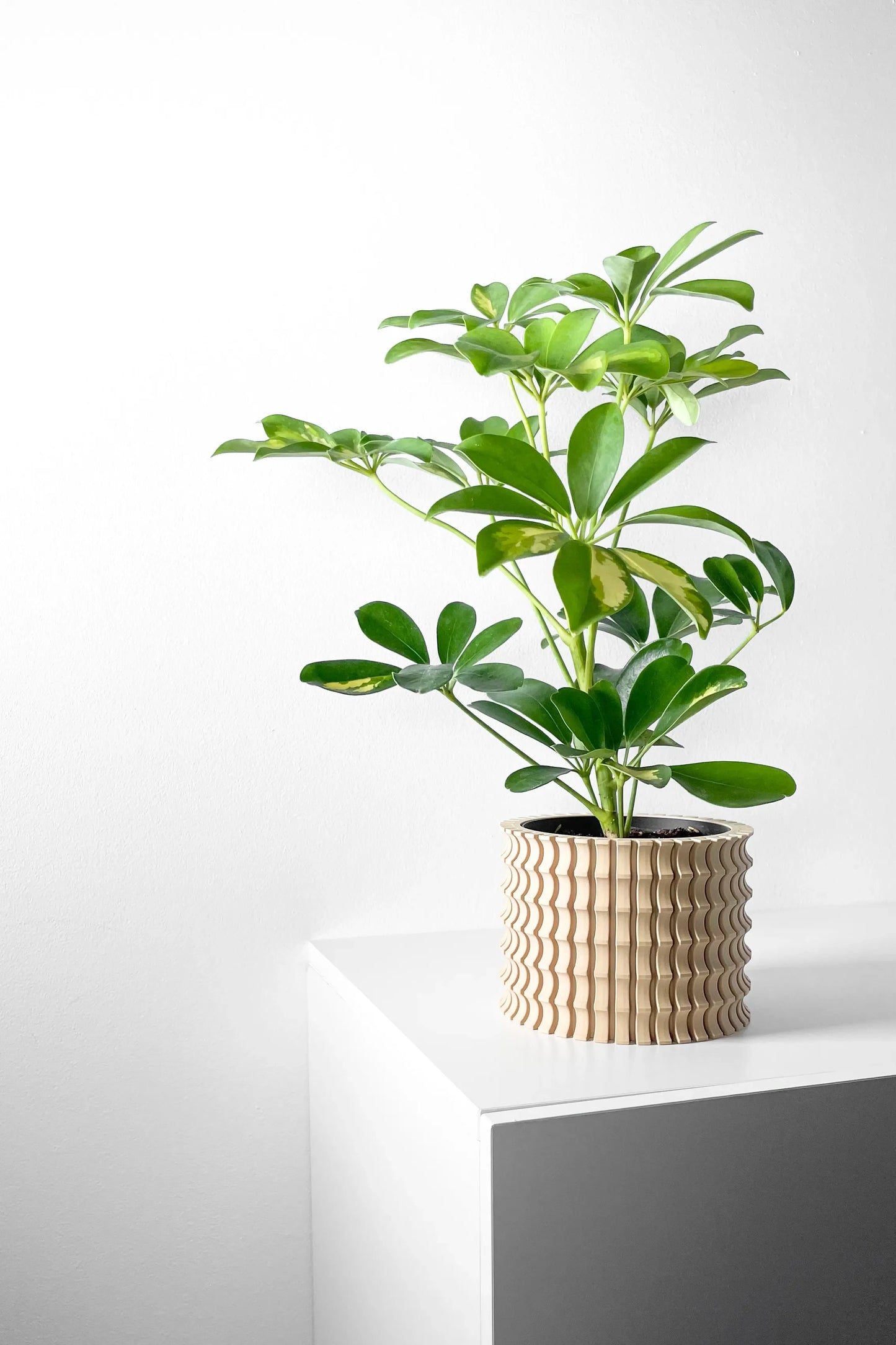 Pot décoratif Tulam