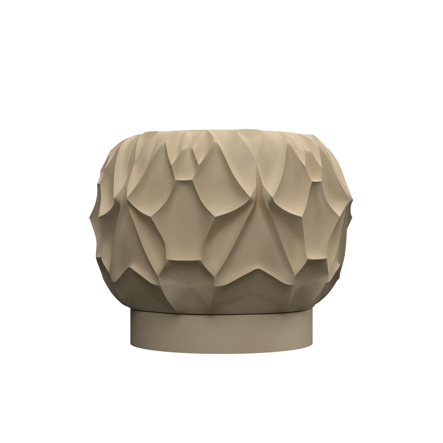 Vase Fleurs Séchées Vessel