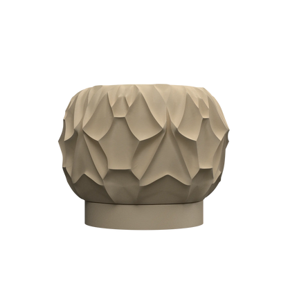 Vase Fleurs Séchées Vessel