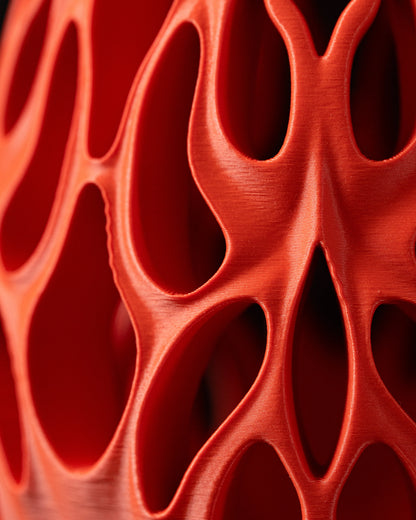 Vase Fleurs Séchées Vessel