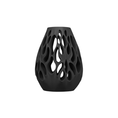 Vase Fleurs Séchées Vessel