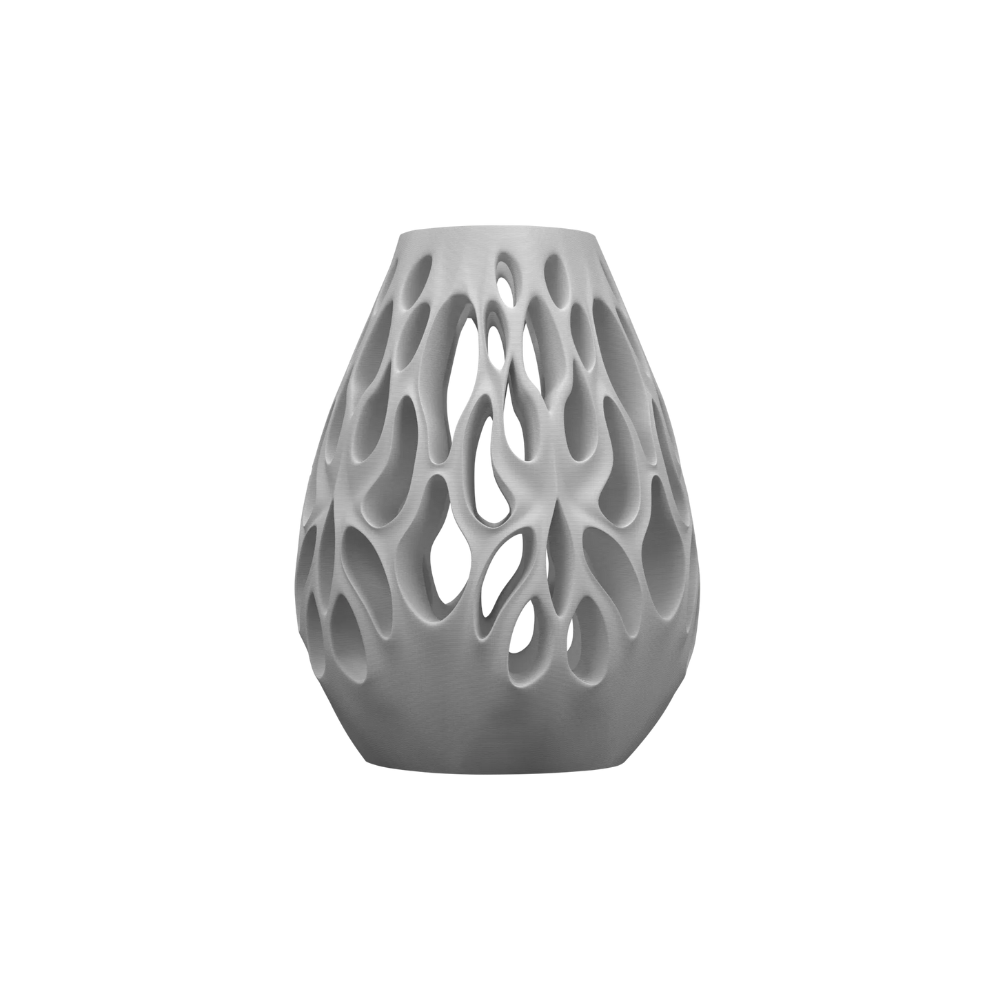 Vase Fleurs Séchées Vessel