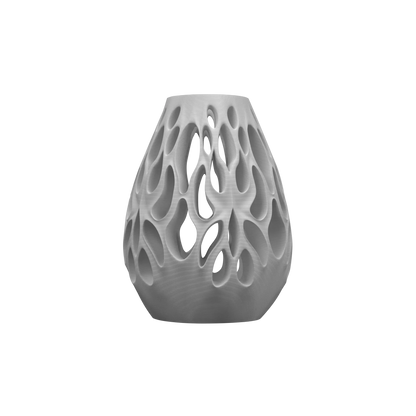 Vase Fleurs Séchées Vessel