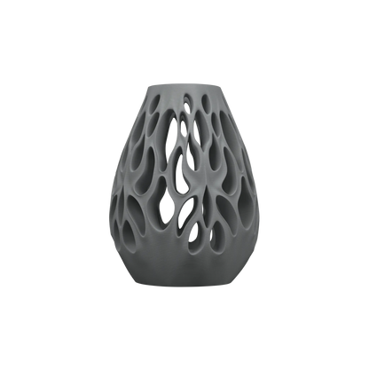 Vase Fleurs Séchées Vessel