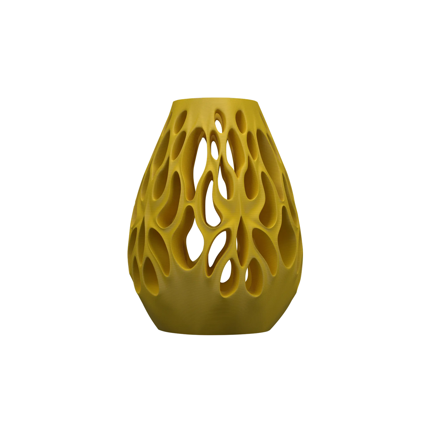 Vase Fleurs Séchées Vessel