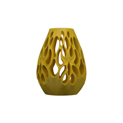 Vase Fleurs Séchées Vessel