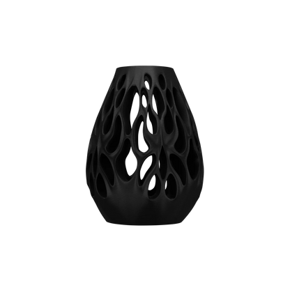 Vase Fleurs Séchées Vessel