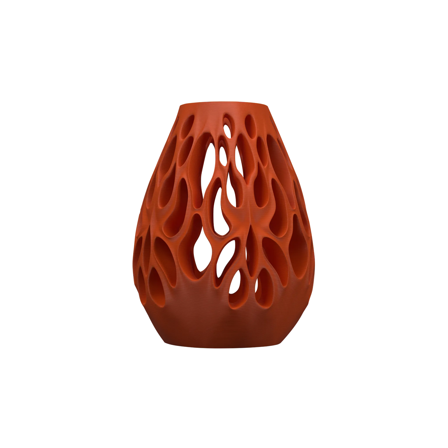 Vase Fleurs Séchées Vessel