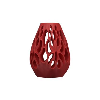 Vase Fleurs Séchées Vessel