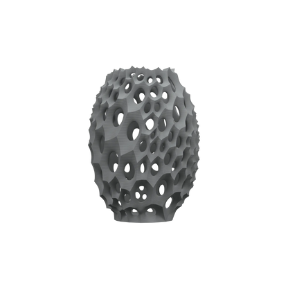 Vaso di fiori secchi Vaso di fiori secchi Virus_02