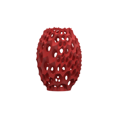 Vaso di fiori secchi Vaso di fiori secchi Virus_02