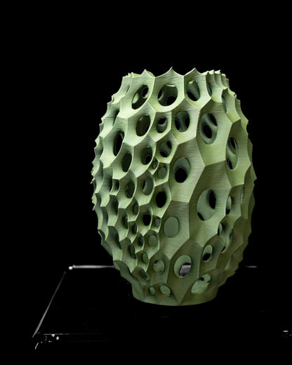 Vaso di fiori secchi Vaso di fiori secchi Virus_02