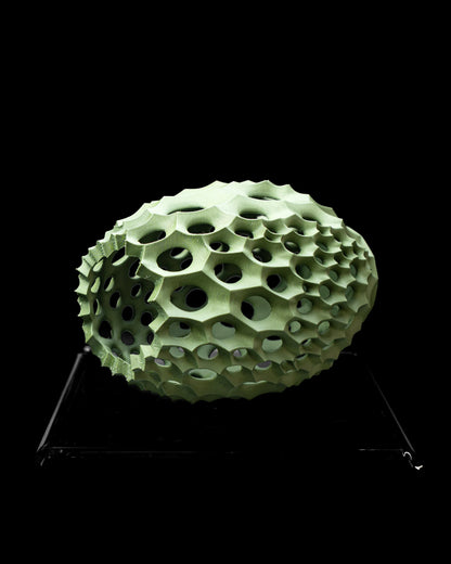 Vaso di fiori secchi Vaso di fiori secchi Virus_02