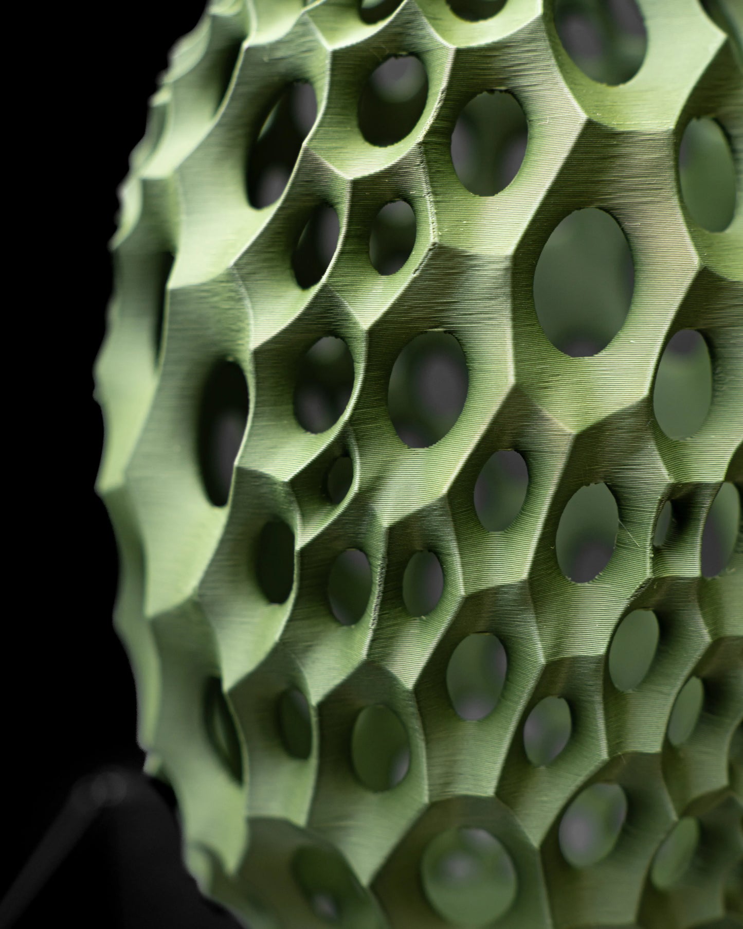 Vaso di fiori secchi Vaso di fiori secchi Virus_02