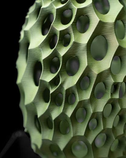 Vaso di fiori secchi Vaso di fiori secchi Virus_02