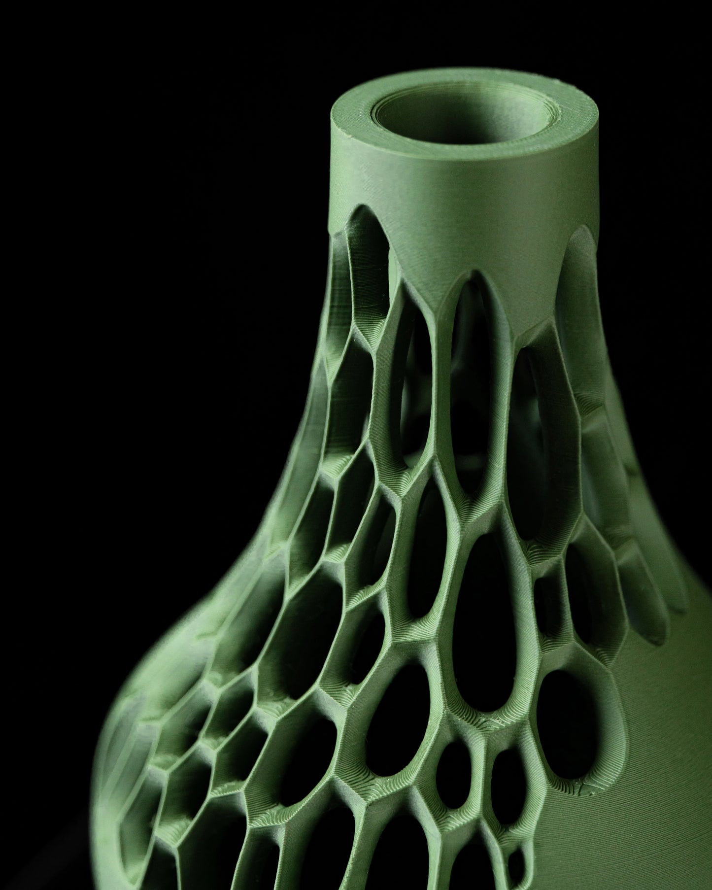 Virus dei fiori secchi in vaso 