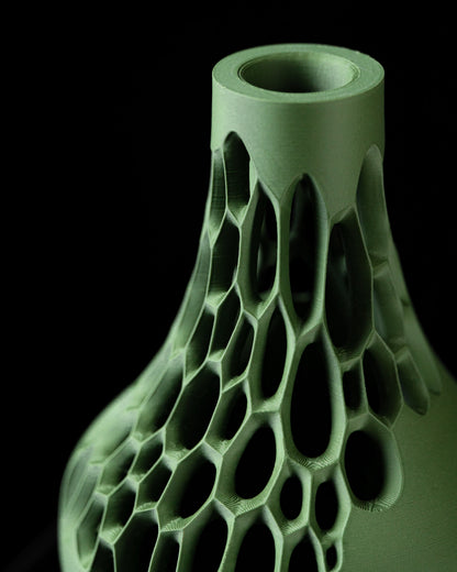 Virus dei fiori secchi in vaso 