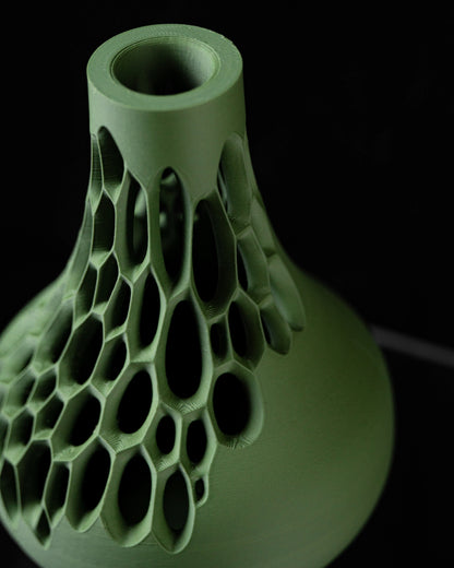 Virus dei fiori secchi in vaso 