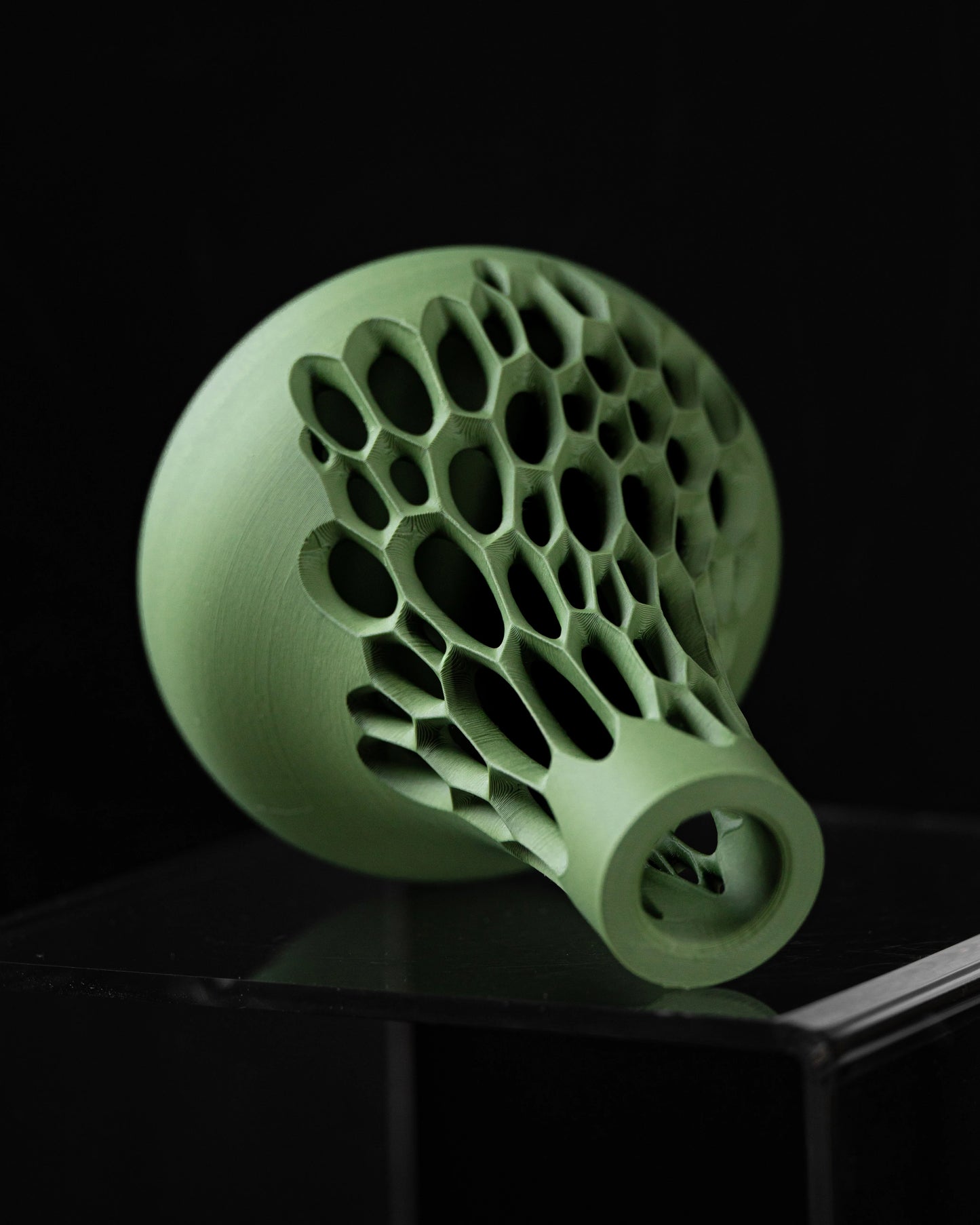 Virus dei fiori secchi in vaso 