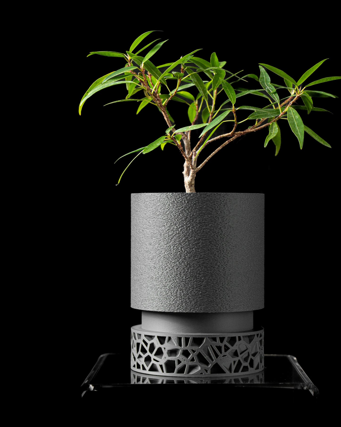 Vori_vaso decorativo rotondo