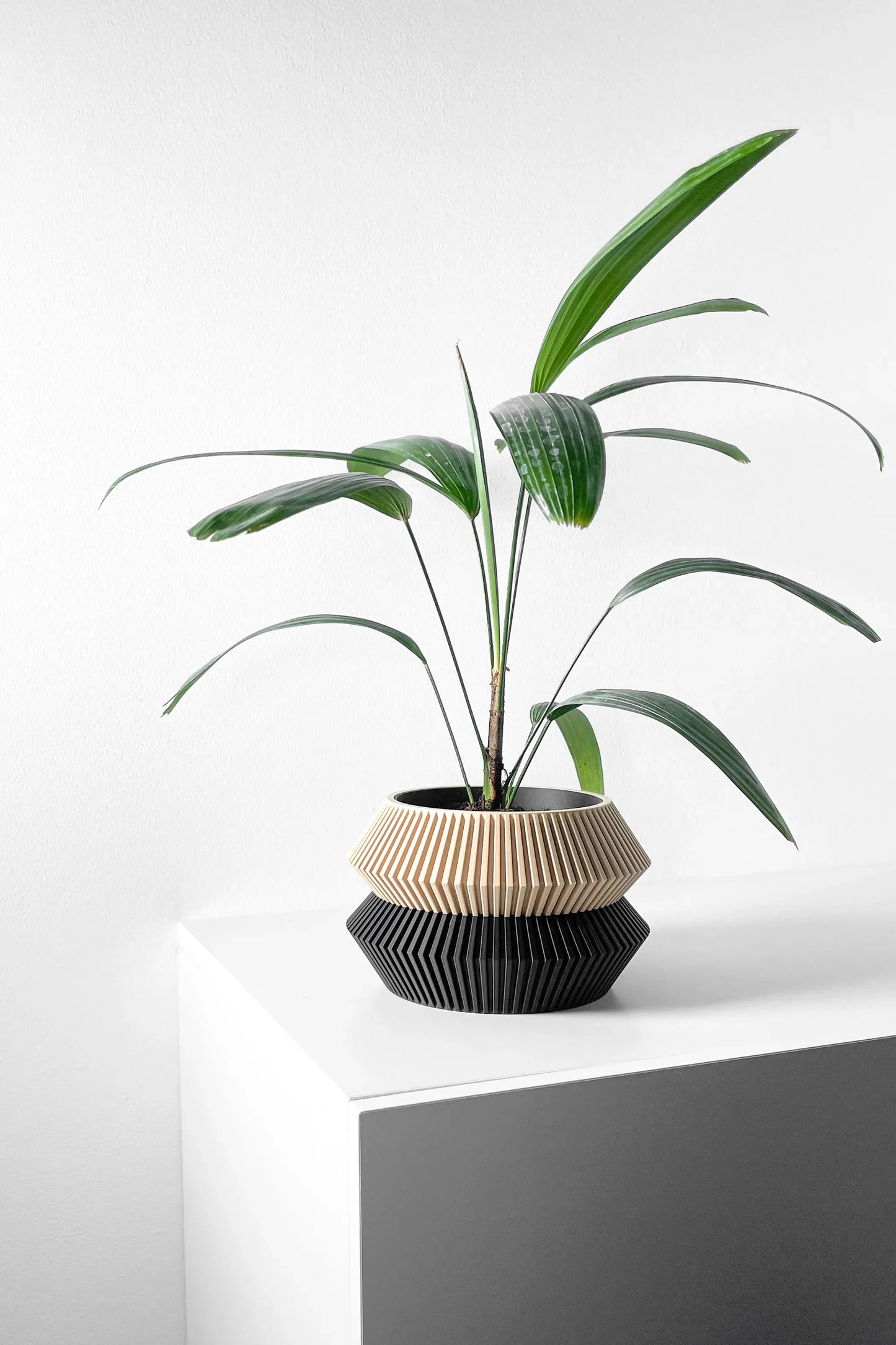 Vaso decorativo Wenra