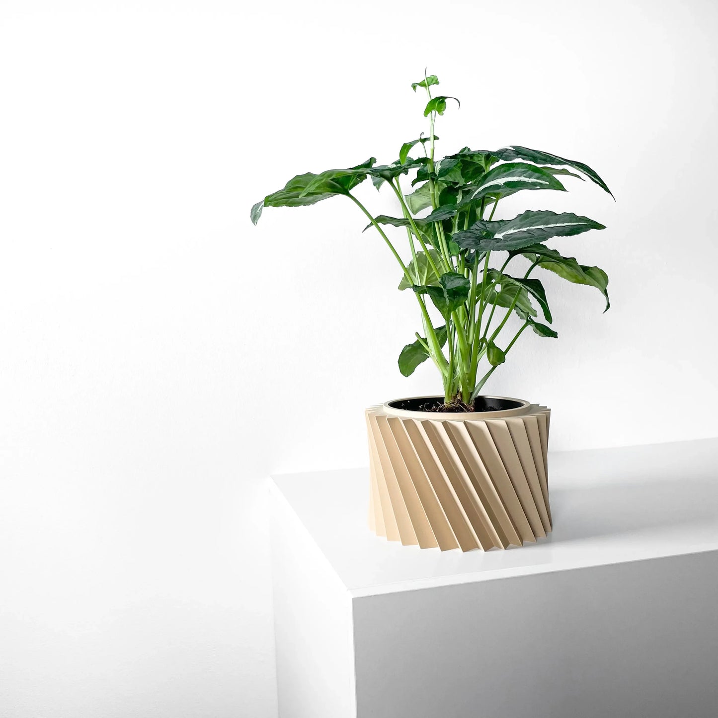 Pot décoratif Wiron beige en matériau durable avec design contemporain en spirale, plante verte dessus.