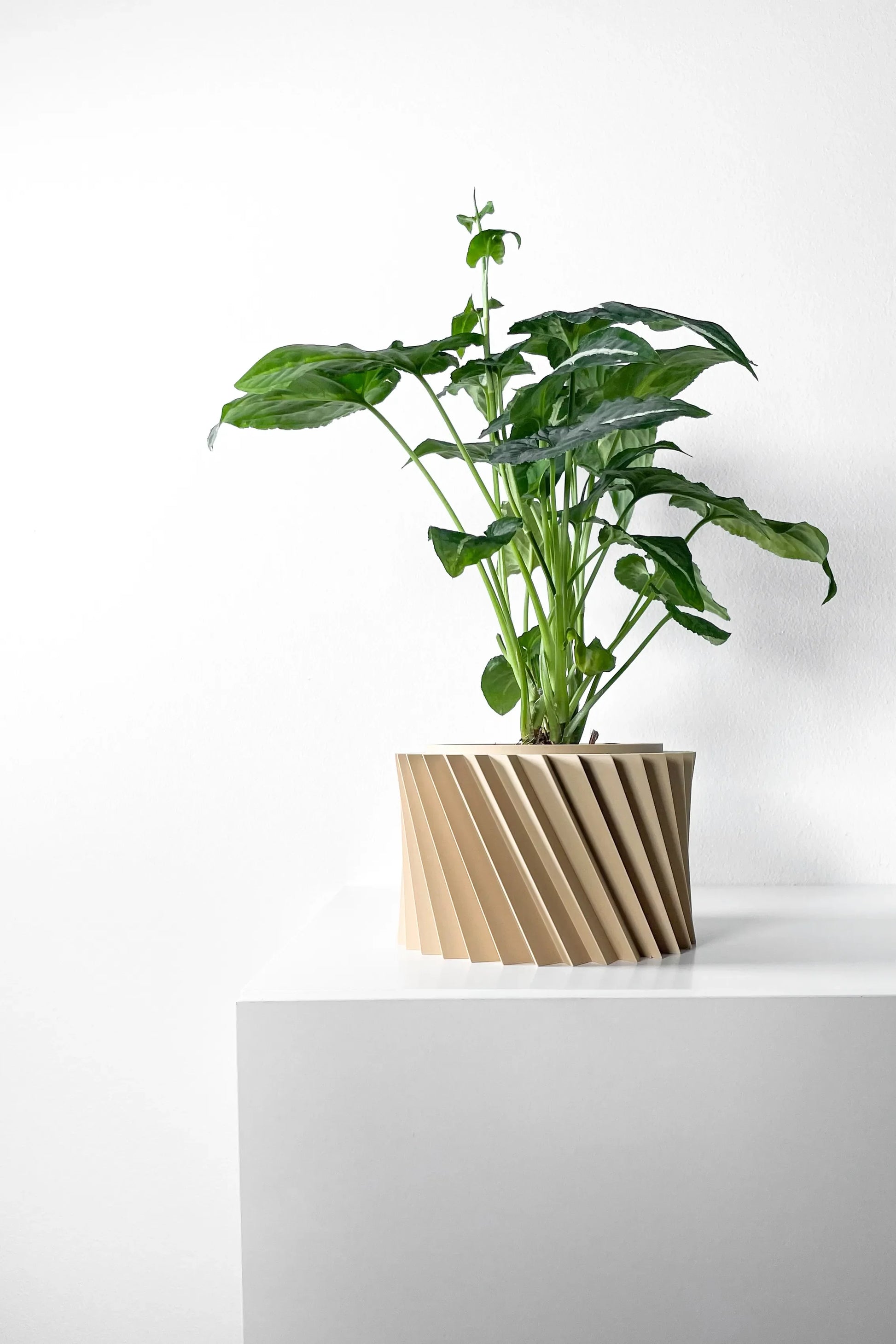 Pot décoratif beige en matériau moderne avec surface striée en spirale, plante verte aux grandes feuilles luxuriantes.